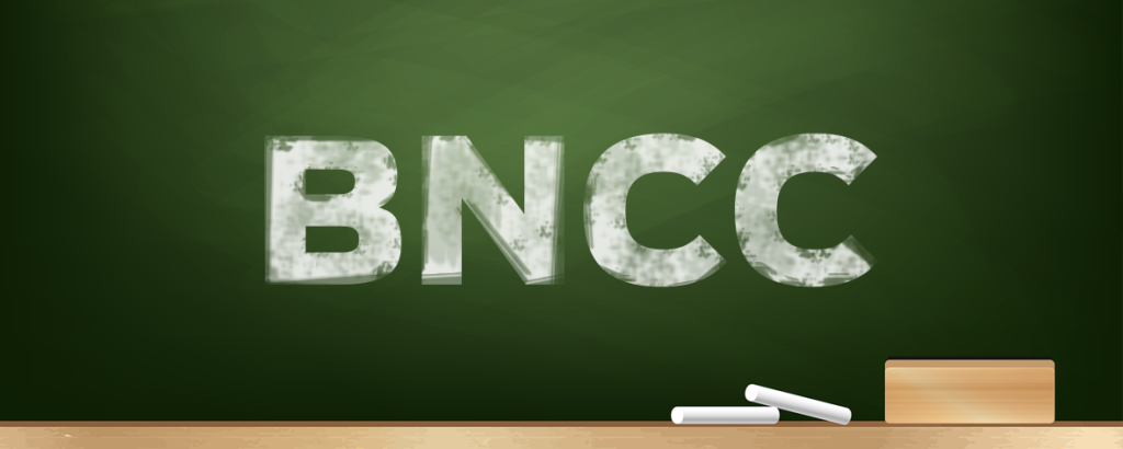 A BNCC na Prática: Como Garantir que Sua Aula Esteja Alinhada às Diretrizes