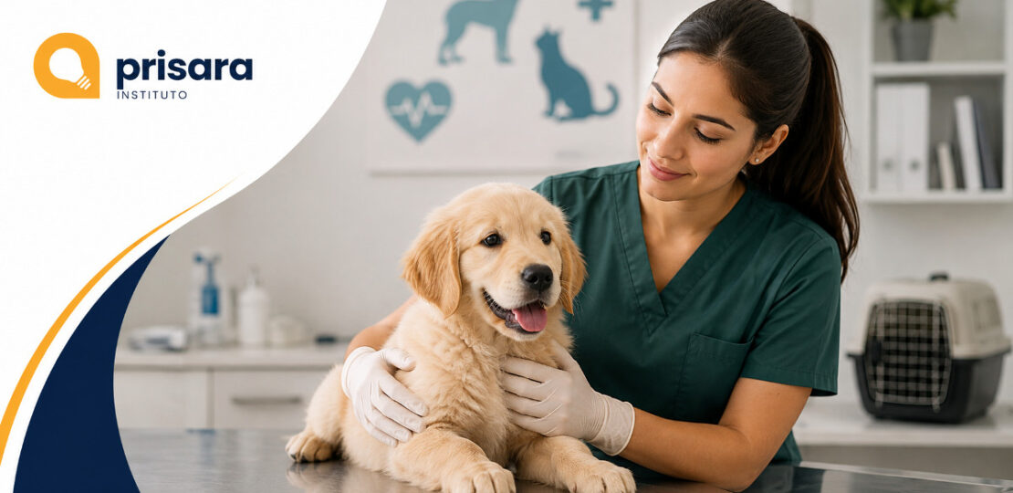 auxiliar veterinária