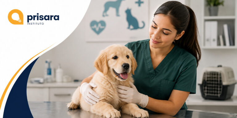 Auxiliar de Veterinária: Funções, Locais de Trabalho e Qualificação