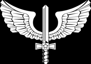 Concurso FAB 2026: Como Ingressar na Aeronáutica como Militar Temporário e Quais Cursos Livres Podem Ser Aceitos?