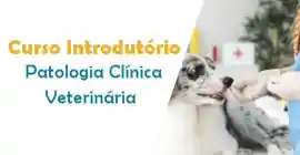 Curso introdutrio de Patologia Clnica Veterinria