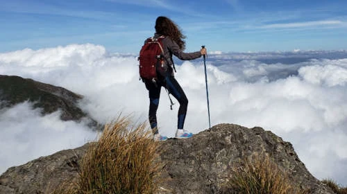 Curso de Ecoturismo: Planejamento Sustentável, Conservação Ambiental e Turismo Responsável